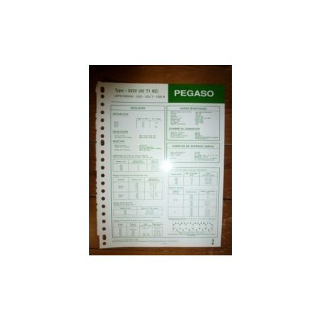 9220 - 95T1BZ Fiche Technique Pegaso