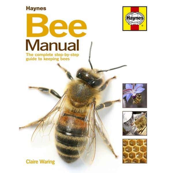 Bee The complete step-by-step guide to keeping Revue Haynes Anglais