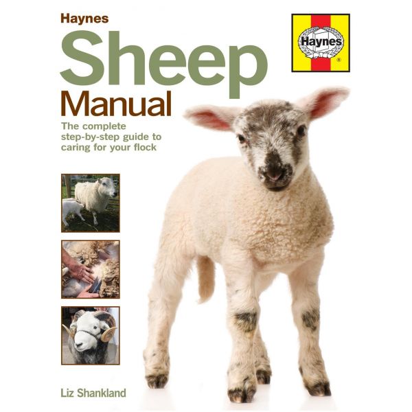 Sheep Manual Revue technique Haynes Anglais