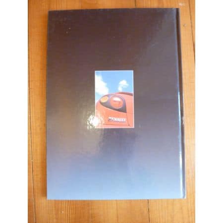 Megane histoire Livre