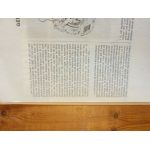 CARGO Revue Technique PL Ford