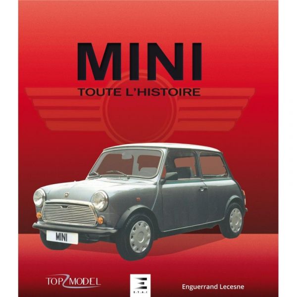 Histoire  Mini - Livre