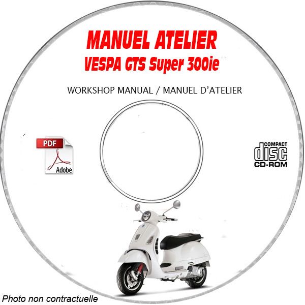 MANUEL D'ATELIER GTS Super 300 i.e.