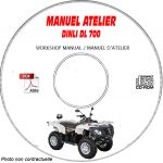 DL 700 -08  Manuel Atelier CDROM DINLI Anglais