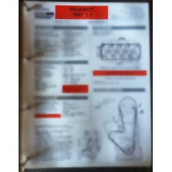 copy of 309 GR Fiche...