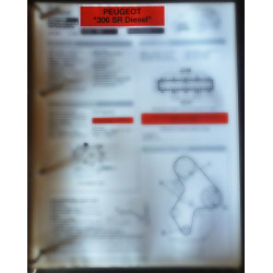 copy of 309 GR Fiche...