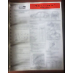 copy of 309 GR Fiche...