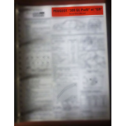 copy of 309 GR Fiche...