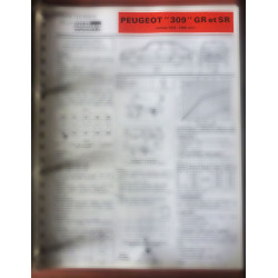 copy of 309 GR Fiche...