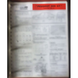 copy of 309 GR Fiche...