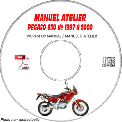 Pegaso 650 97-00 -  Manuel...