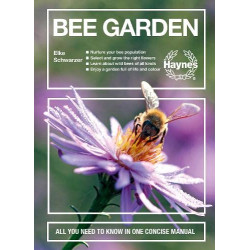 Bee Garden: All you need to...