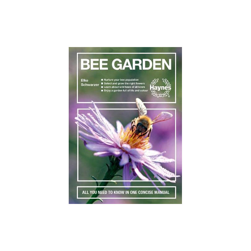 Bee Garden: All you need to know - Manuel Anglais