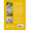 Bee Garden: All you need to know - Manuel Anglais