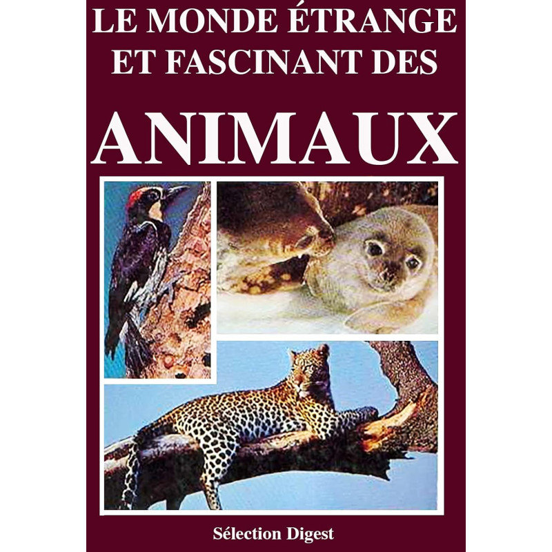 copy of CORVETTE, icone américaine - Livre