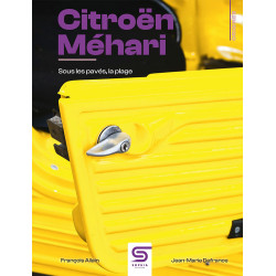 copy of CITROEN Mehari...