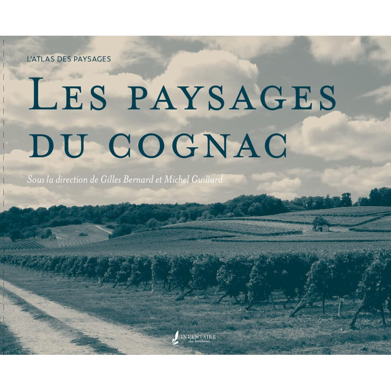 copy of Avions de guerre  - Livre