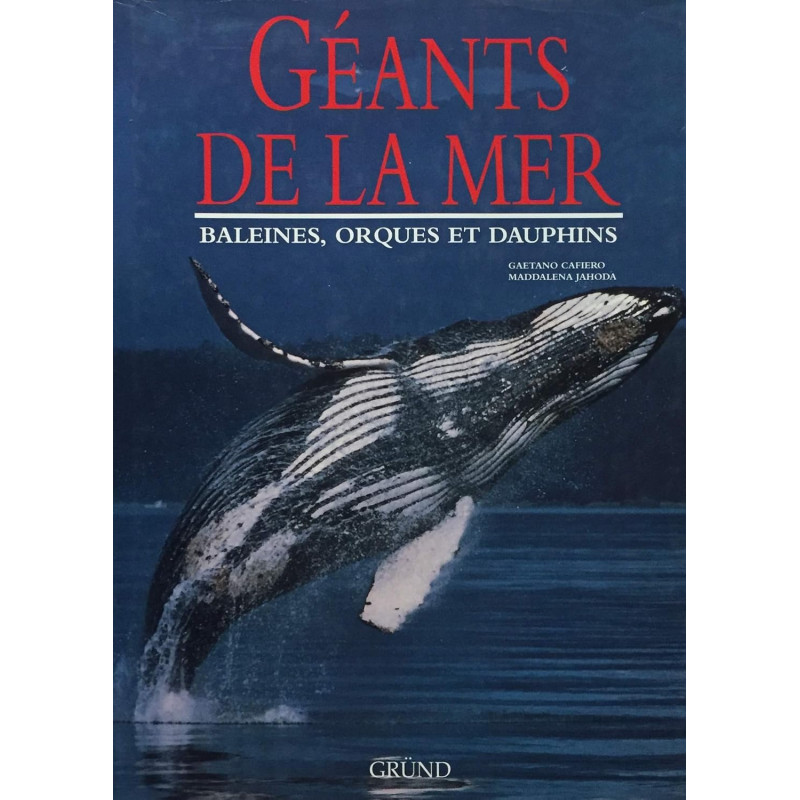Géants de la mer: Baleines, orques et dauphins