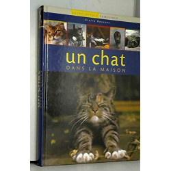 Un Chat Dans La Maison
