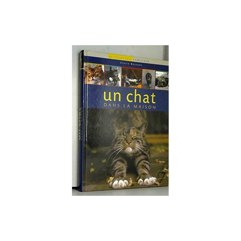 copy of Avions de guerre  - Livre