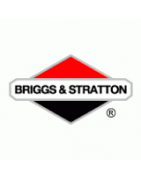 Revues Techniques Agricoles des BRIGGS & STRATTON