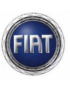 Revues Electronic Auto Volt pour FIAT